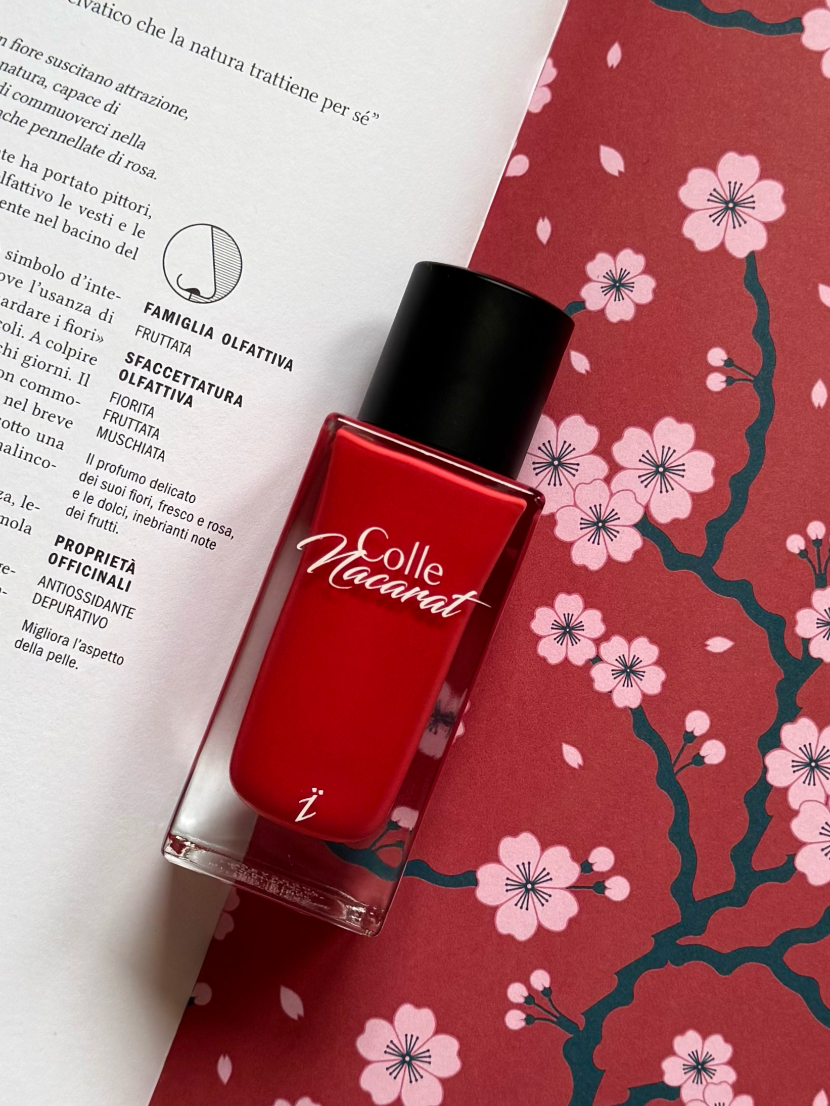 Yzkïne Reviewed : Colle Nacarat